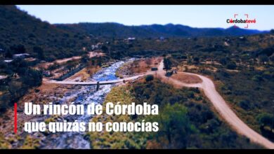 Cruz de Caña Córdoba