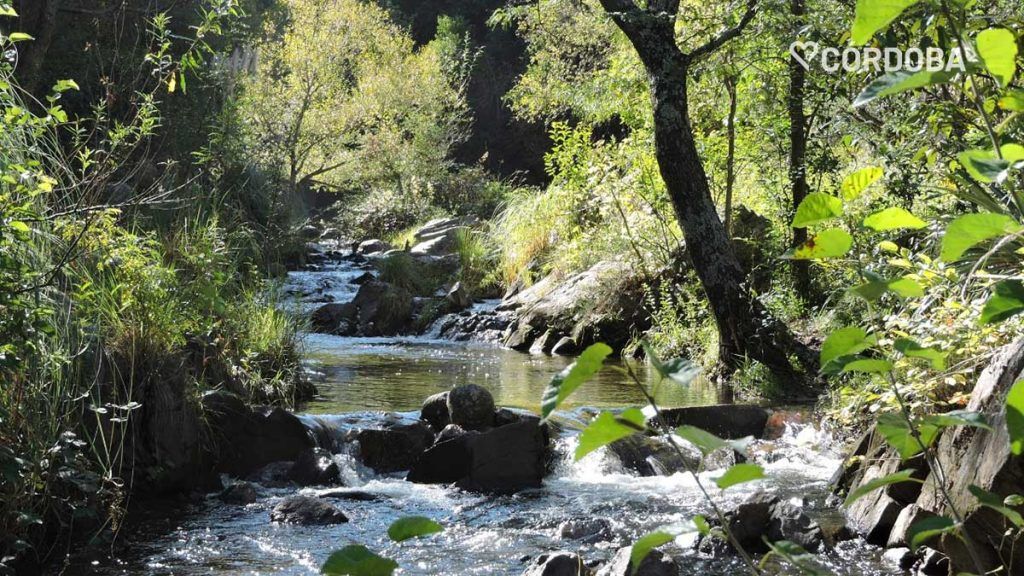 Salto La Estancita