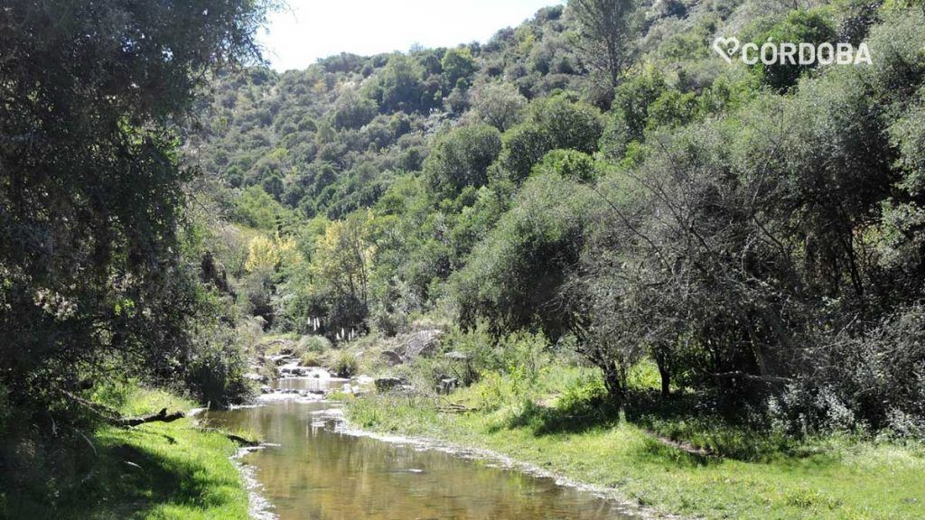 Salto La Estancita