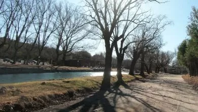 San Esteban Amo Cordoba