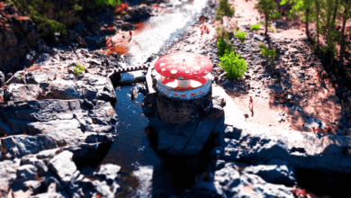 El Hongo del río Anisacate - amocordoba.ar