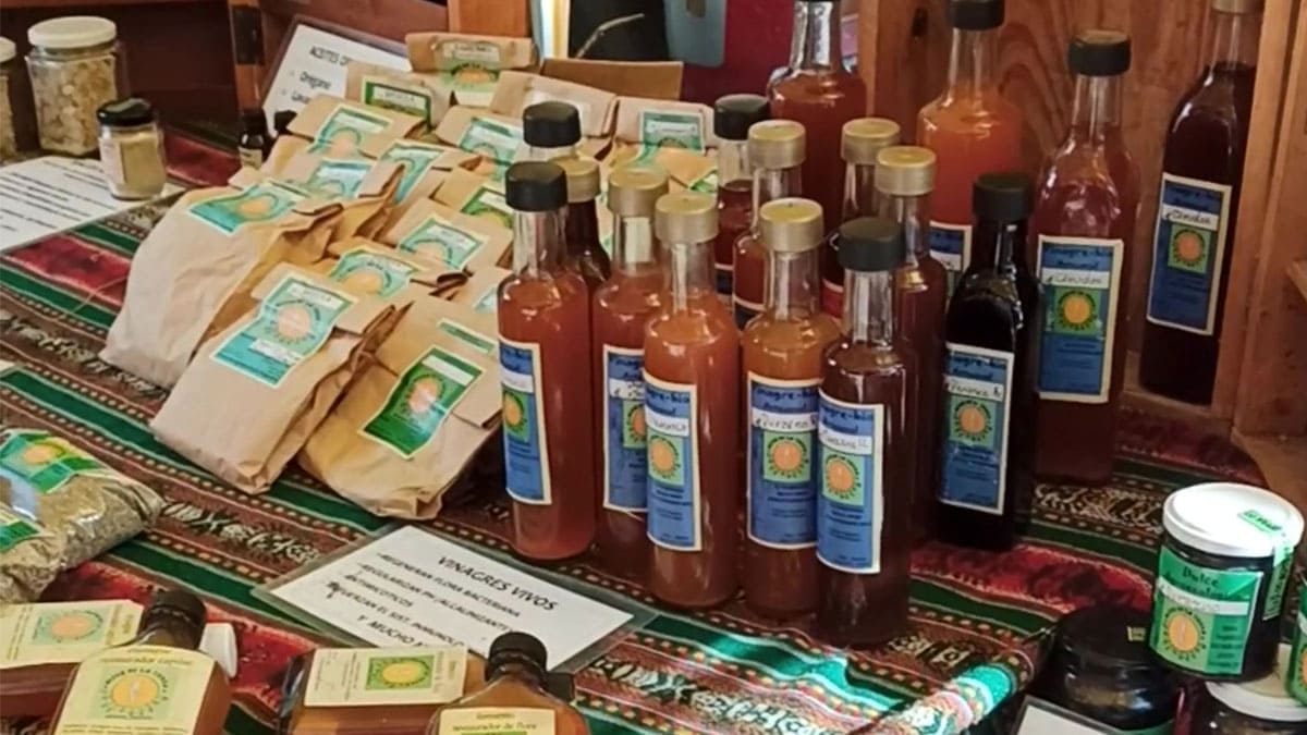 Feria Agroecológica en Córdoba, productos orgánicos y alimentos ...