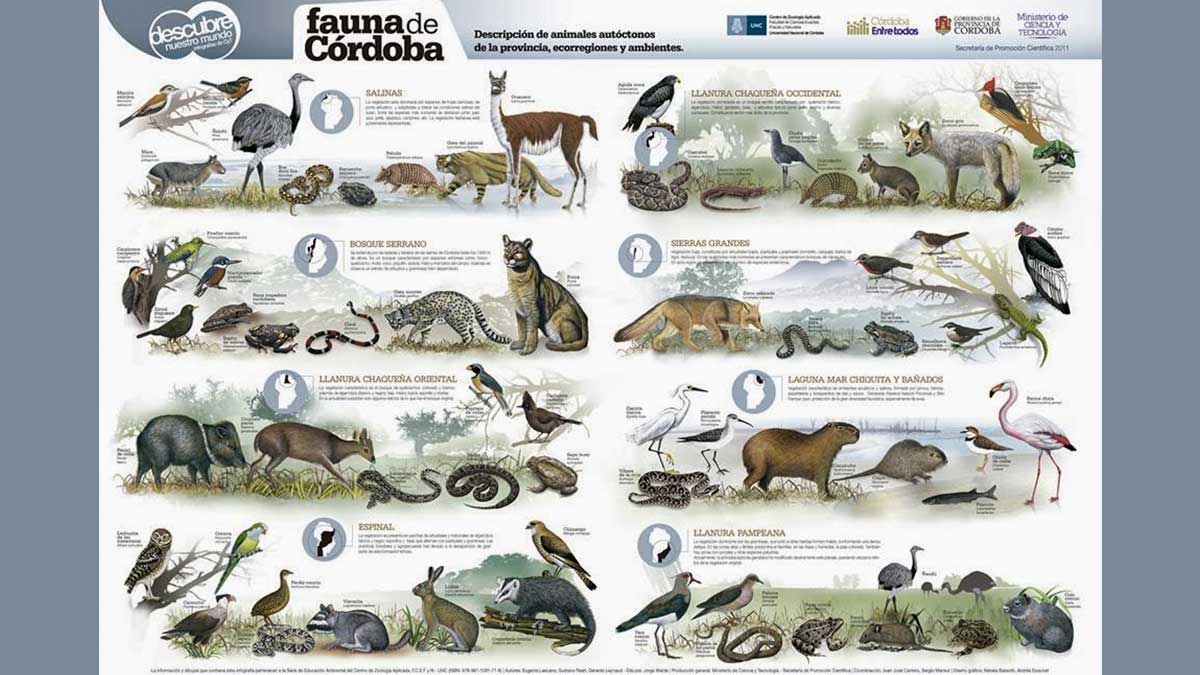 especies autóctonas de Córdoba