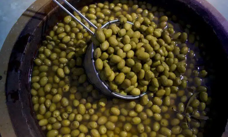 aceitunas verdes de el camino del olivo