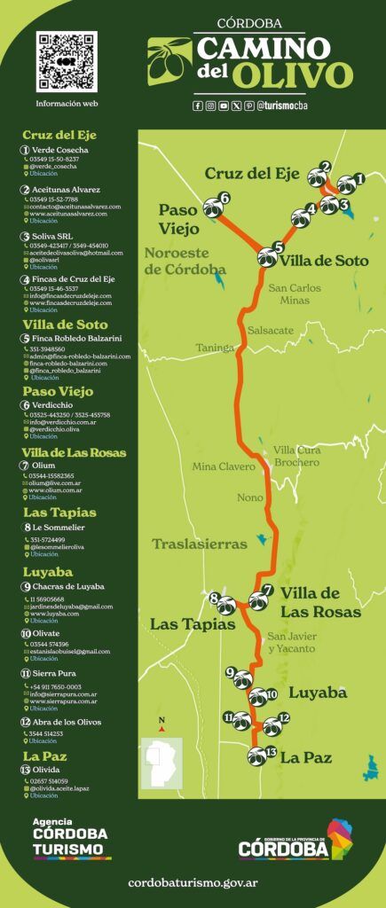 El camino del Olivo