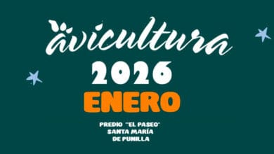 Festival De La Avicultura 2026