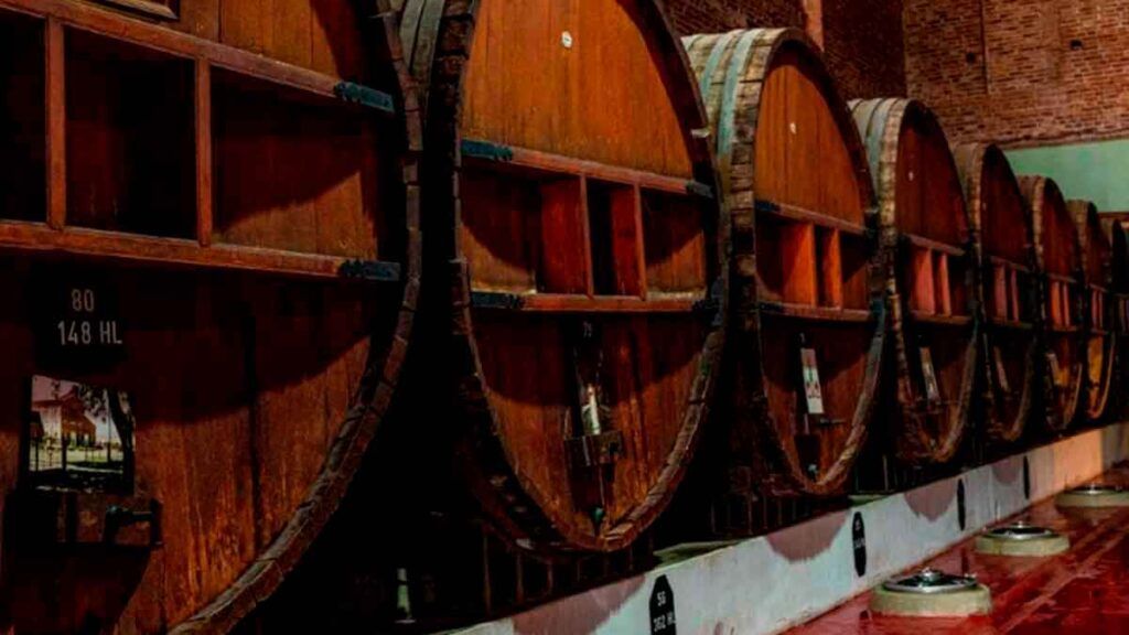Bodegas en Colonia Caroya