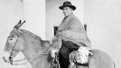 Camino del Peregrino - Cura Brochero