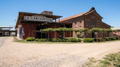 Bodegas en Colonia Caroya - La Caroyense