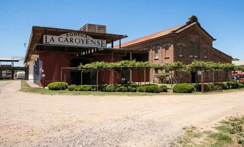 Bodegas en Colonia Caroya - La Caroyense