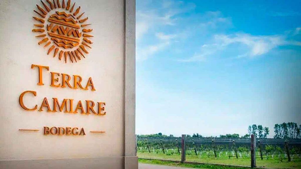 Bodega Terra Camiare