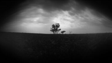 Fotografía estenopeica: una técnica que desafía la inmediatez