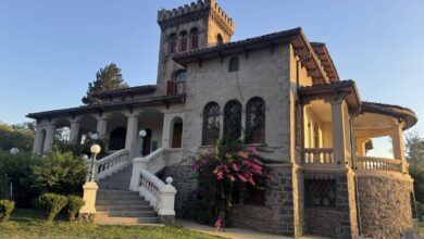 Imagen de un estudio de animación con personas trabajando en sus mesas