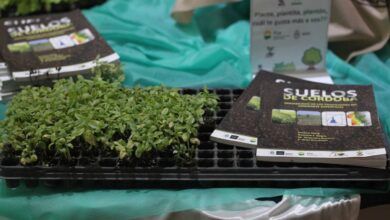 Imágenes de plantas y flores en el museo