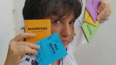 Imagen de una familia disfrutando de una actividad en el Museo de Ciencias Naturales