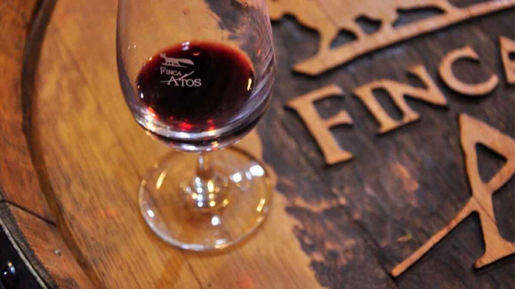 Bodega Finca Atos Pampa