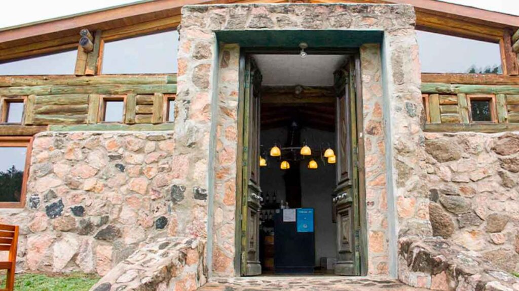 Bodega Las Cañitas