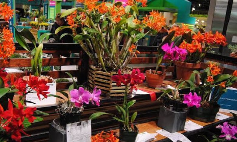 Muestra de Horticultura y Arte Floral en La Cumbre 2026